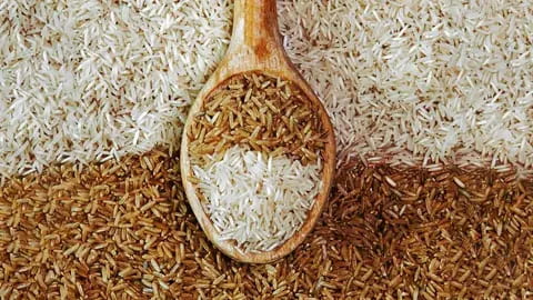 تصویر 4 از بهترین برنج قهوه ای + قیمت خرید عالی